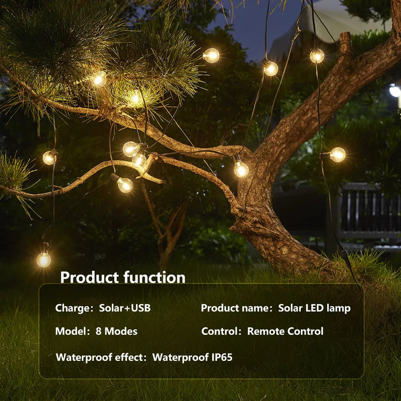 Solar Festoon Lights